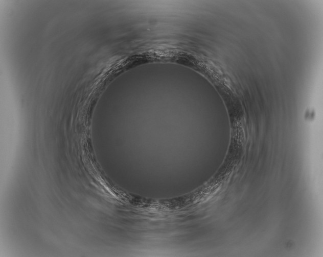 X0000092251009200709141143