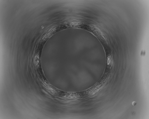 X0000092251011200709141143