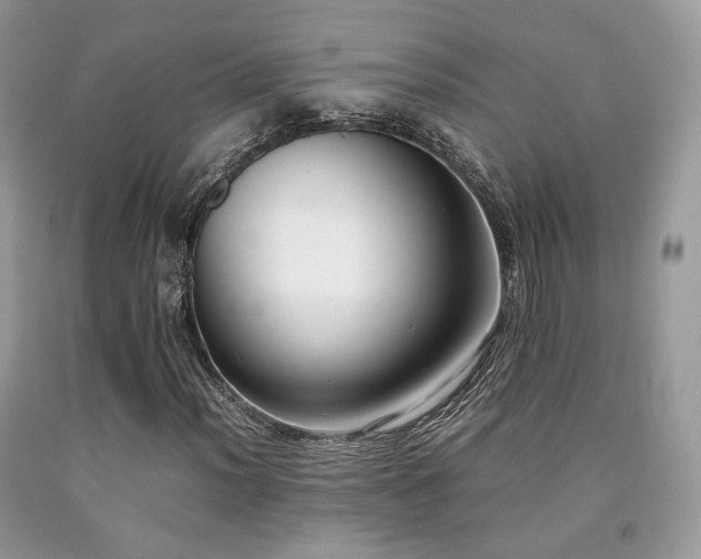 X0000092251012200709141143