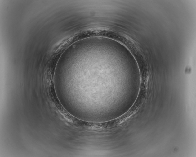 X0000092251014200709141143