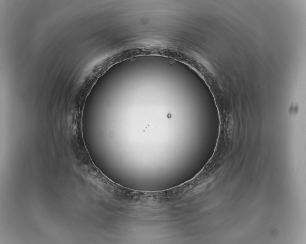 X0000092251016200709141143