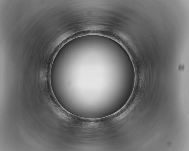 X0000092251017200709141143