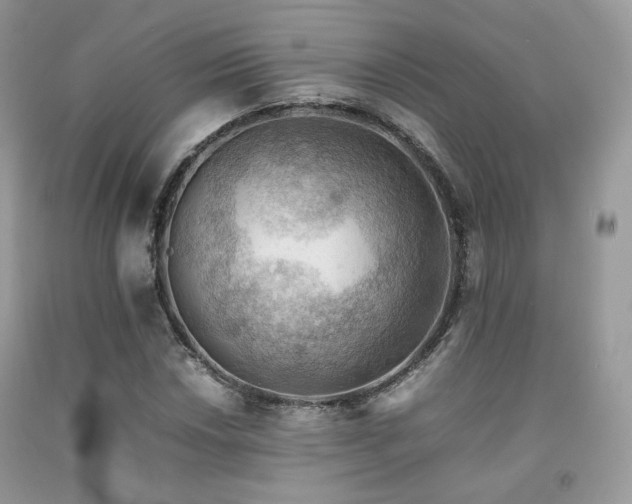 X0000092251018200709141143