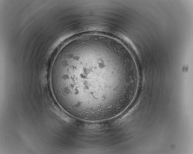 X0000092251019200709141143