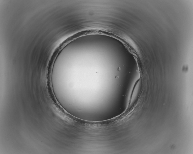 X0000092251020200709141143