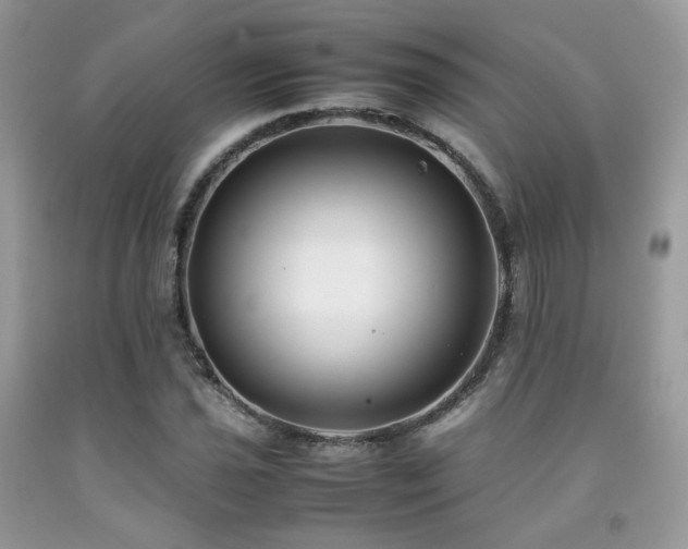 X0000092251021200709141143