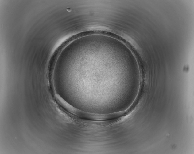 X0000092251022200709141143