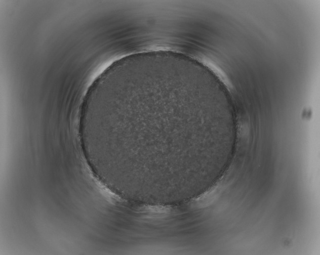X0000092251023200709141143