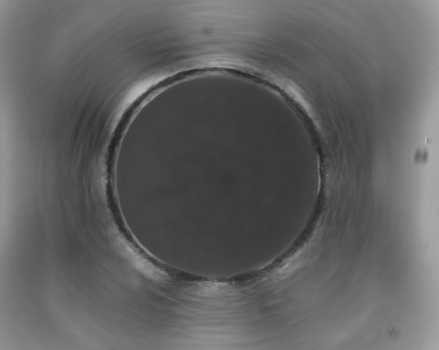 X0000092251024200709141143
