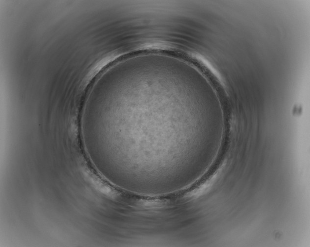 X0000092251025200709141143