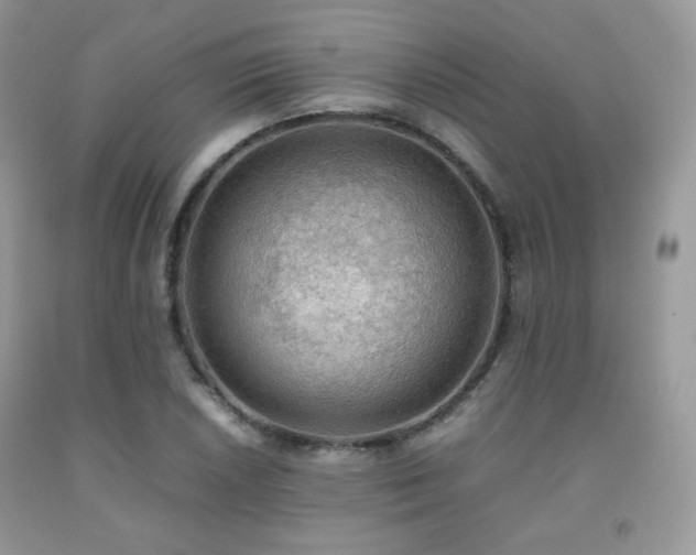 X0000092251026200709141143