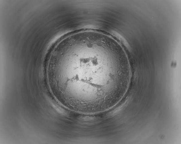 X0000092251027200709141143