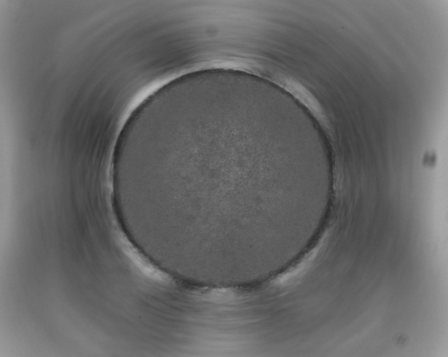 X0000092251028200709141144