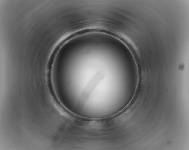 X0000092251029200709141144