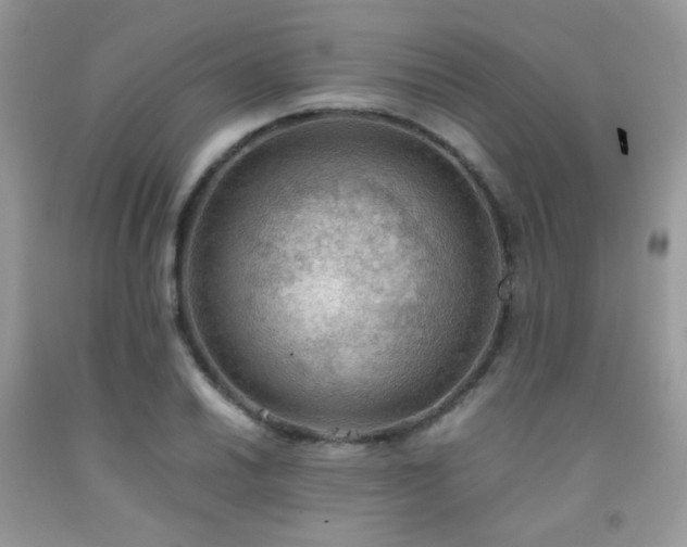 X0000092251030200709141144