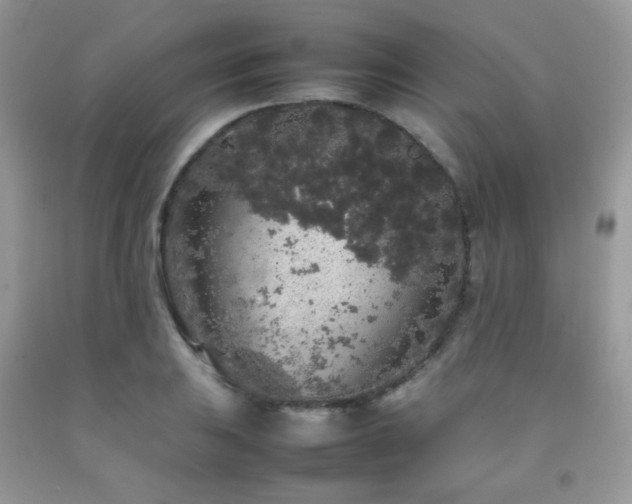 X0000092251031200709141144