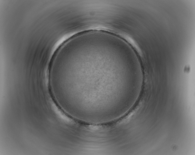 X0000092251032200709141144