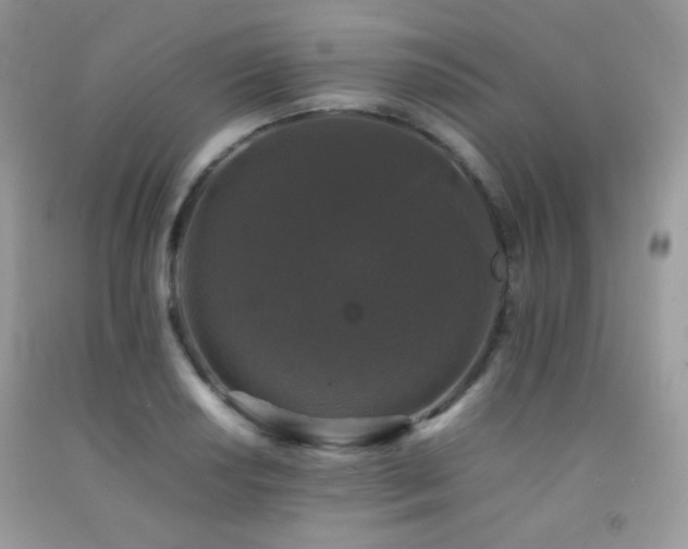 X0000092251034200709141144