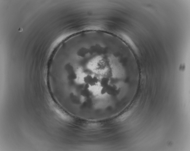 X0000092251035200709141144