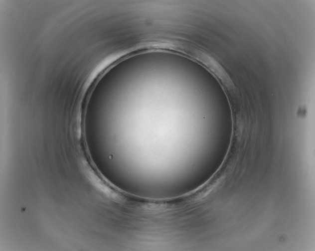 X0000092251036200709141144