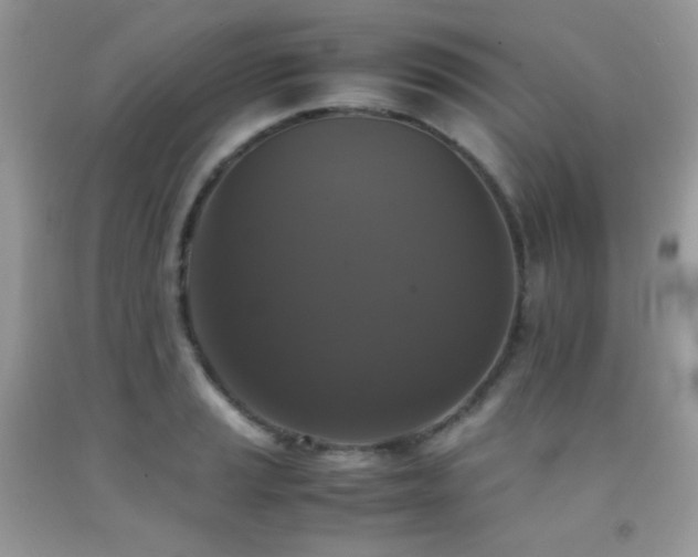 X0000092251037200709141144