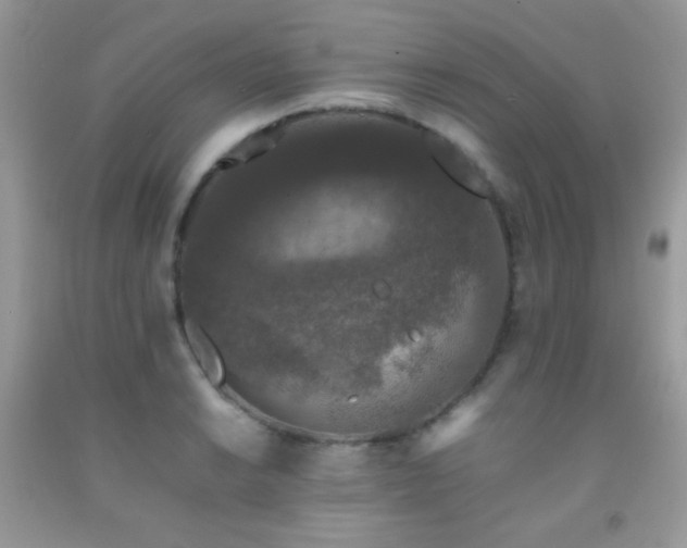 X0000092251038200709141144