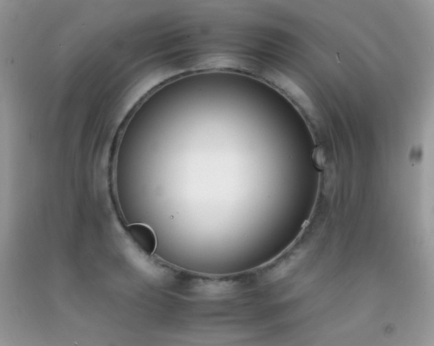 X0000092251039200709141144