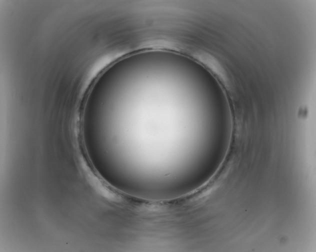 X0000092251040200709141144