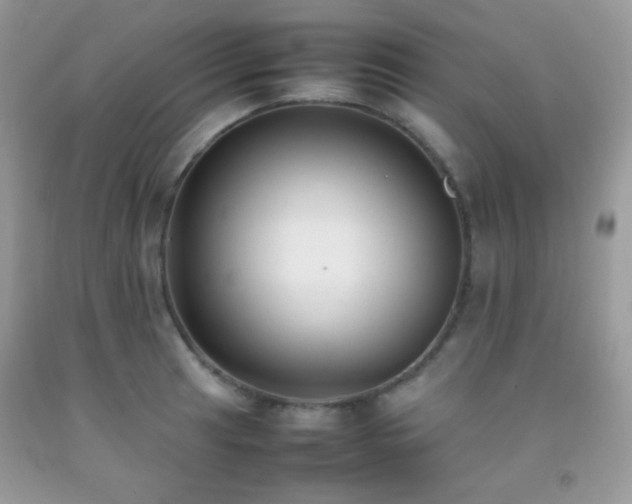 X0000092251041200709141144