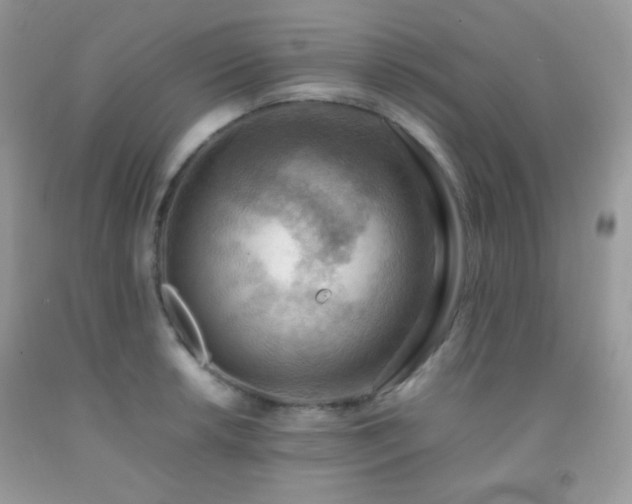 X0000092251042200709141144