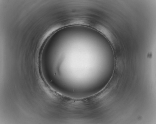 X0000092251043200709141144