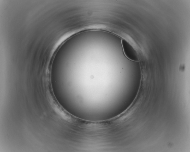 X0000092251044200709141144