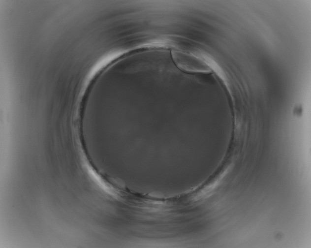 X0000092251045200709141144