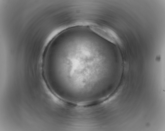 X0000092251046200709141144