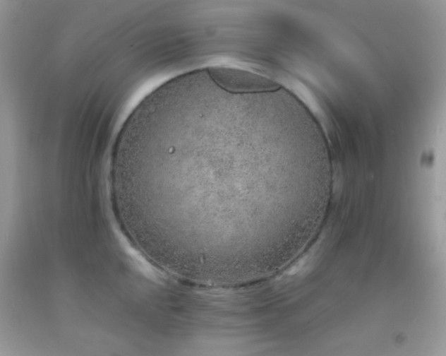 X0000092251048200709141144