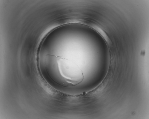 X0000092251051200709141144