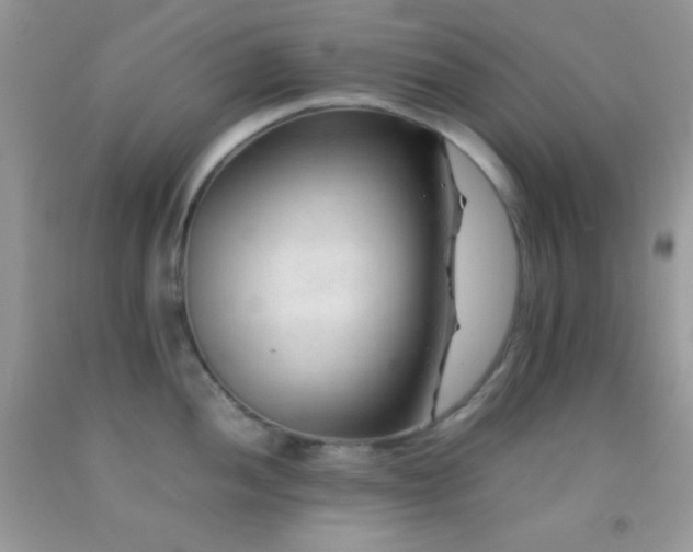 X0000092251052200709141144