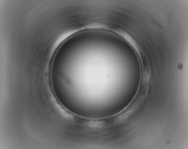 X0000092251053200709141144