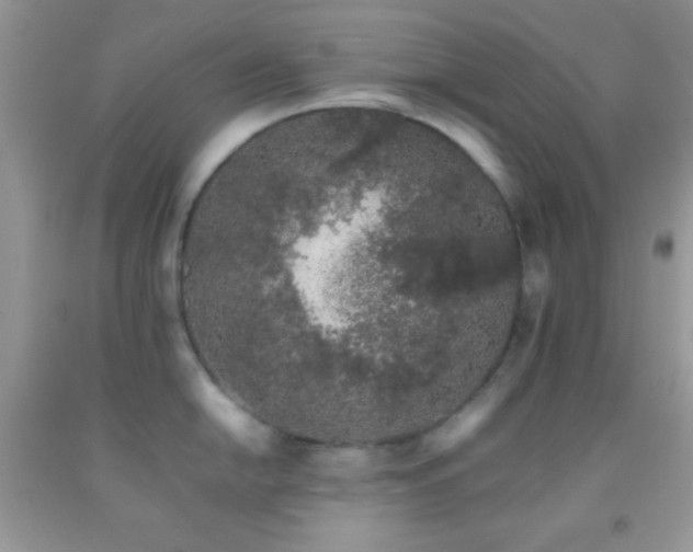 X0000092251054200709141144