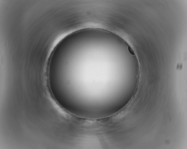 X0000092251056200709141144