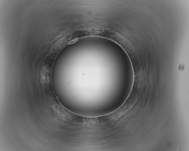 X0000092251058200709141143