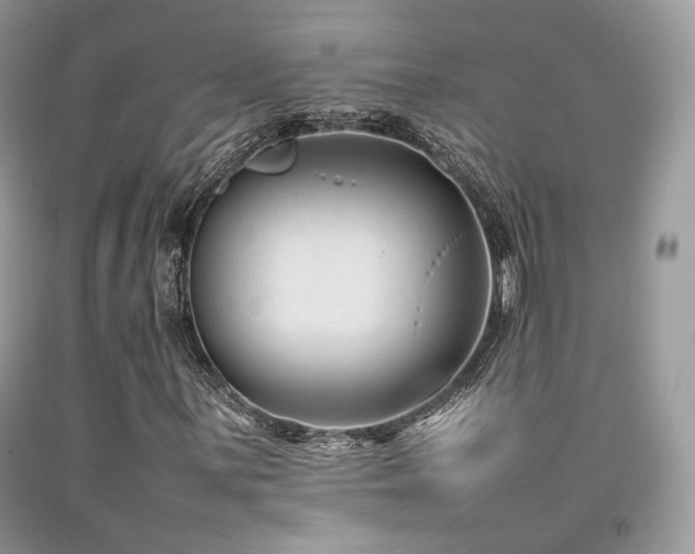 X0000092251059200709141143