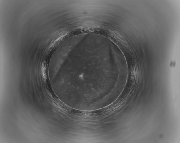 X0000092251060200709141143