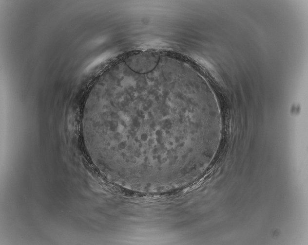 X0000092251063200709141143