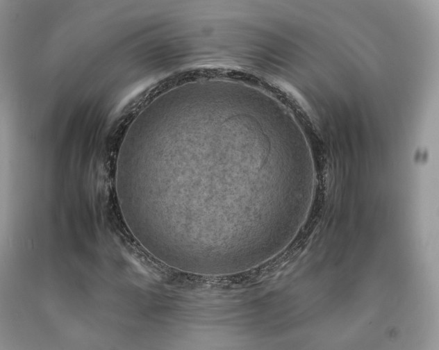 X0000092251064200709141143