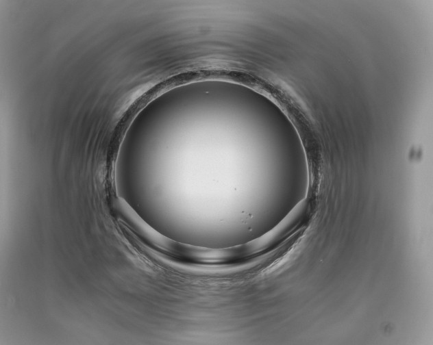 X0000092251065200709141143
