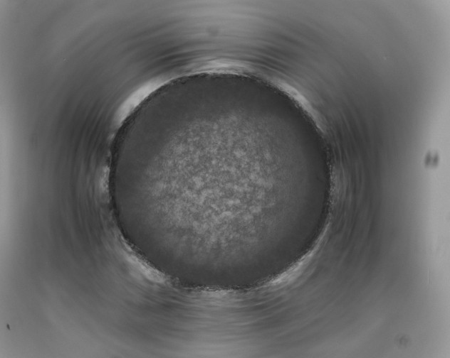 X0000092251066200709141143