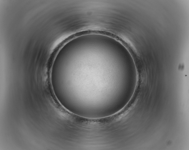 X0000092251070200709141143