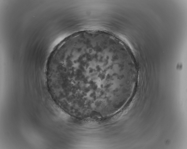 X0000092251071200709141143