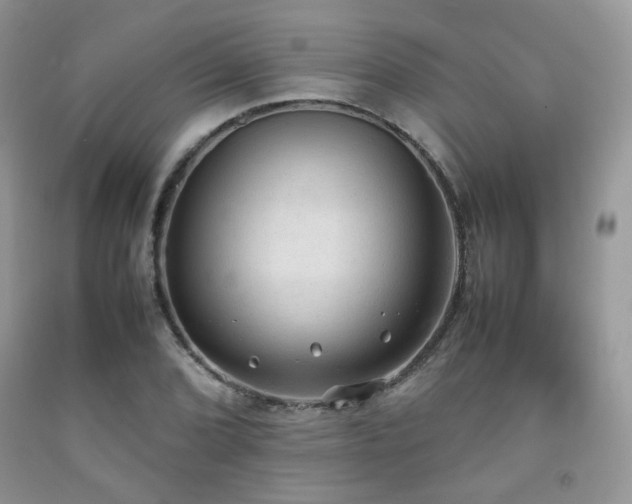 X0000092251072200709141143